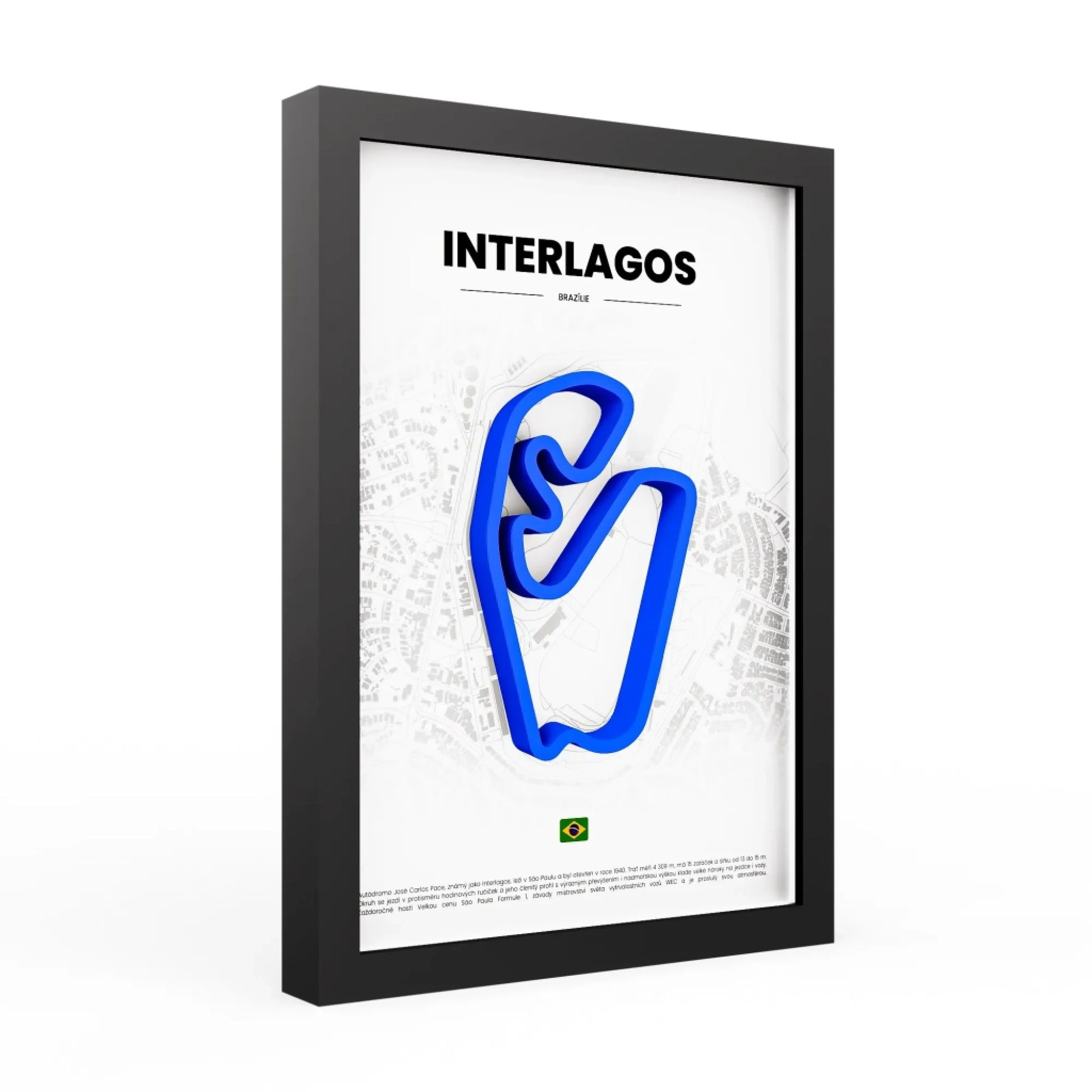 3d-obraz-interlagos-modry-bila-INT-WHS4PN02