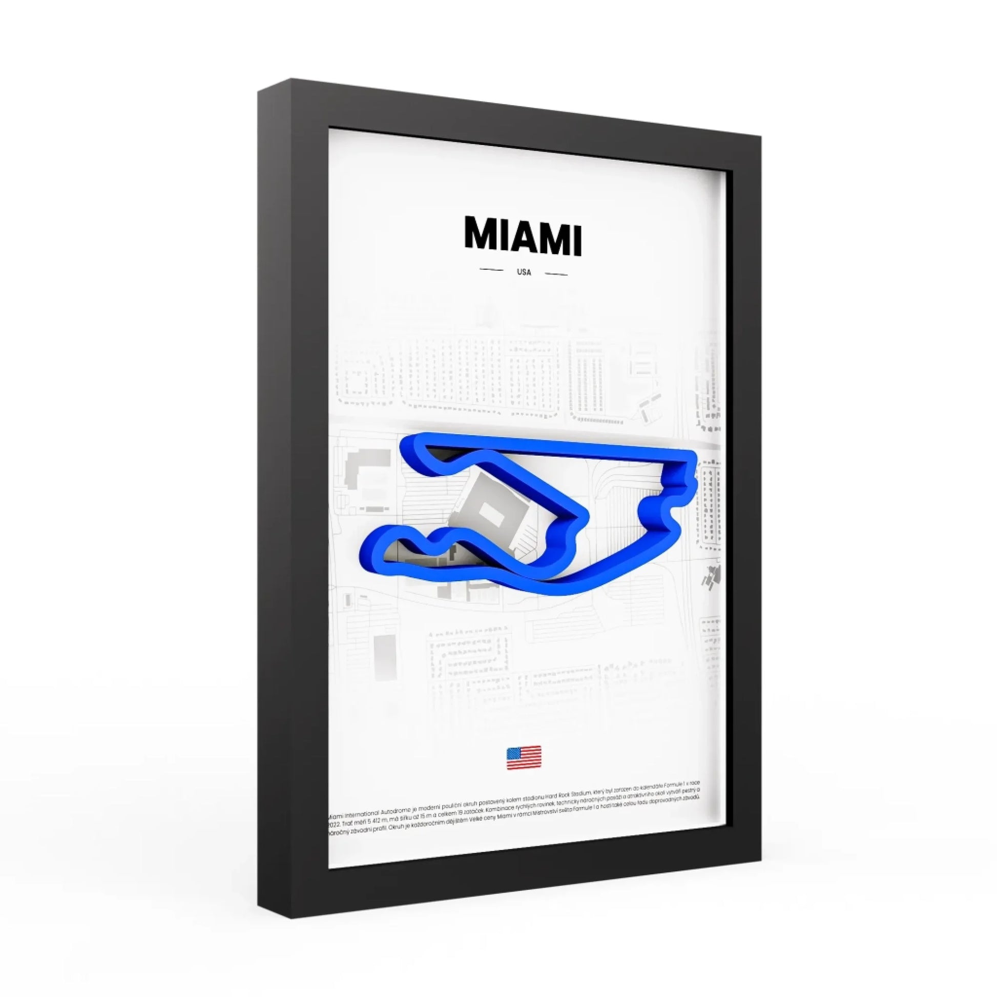 3d-obraz-miami-modry-bila-MIA-WHS4PN02