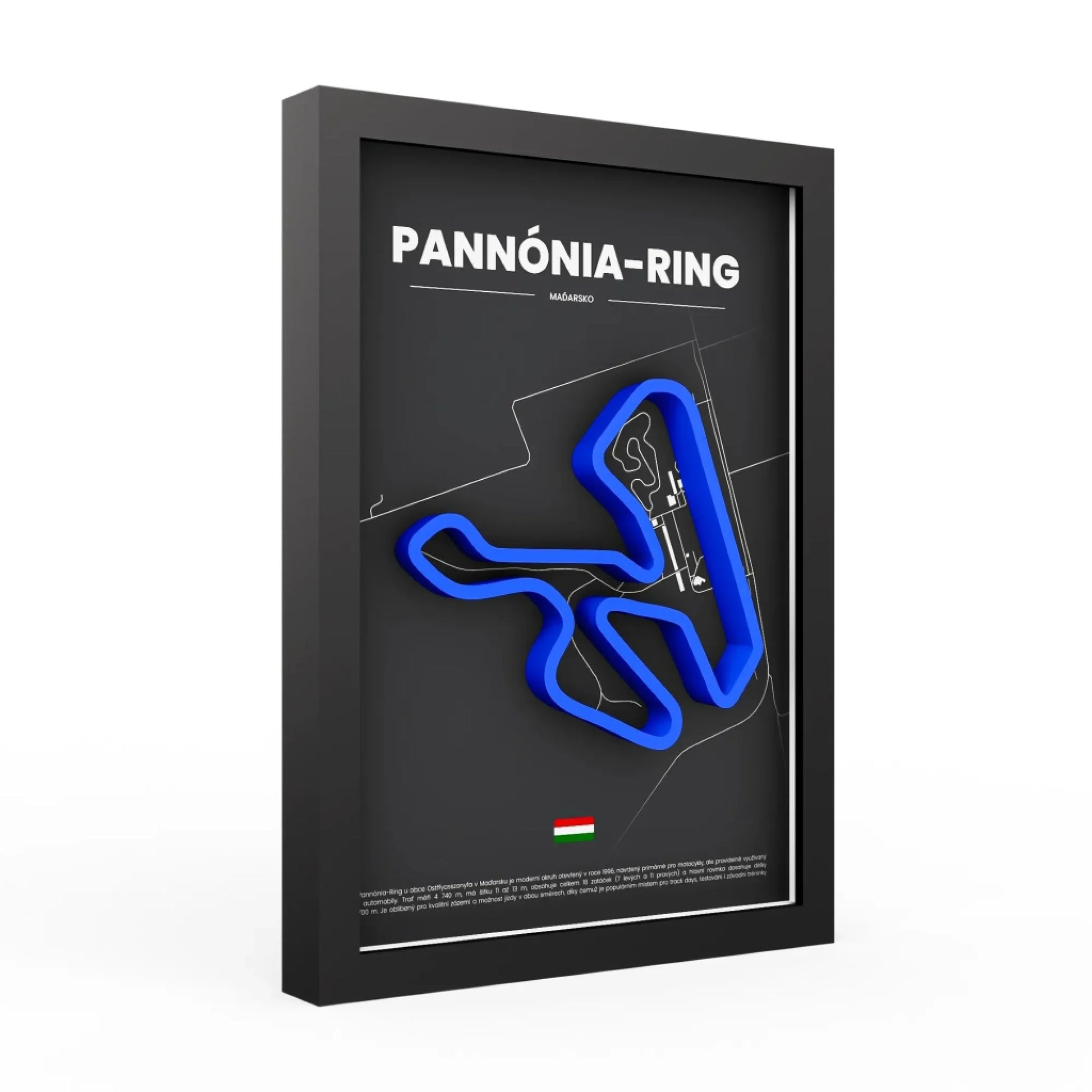 3d-obraz-pannonia-ring-modry-cerna-PAN-BKS4PN02
